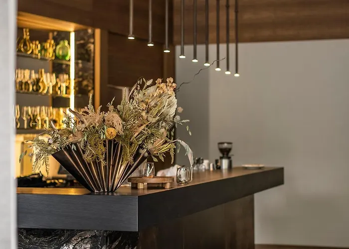 Monist Boutique By Vilnius 4* Παλάγκα